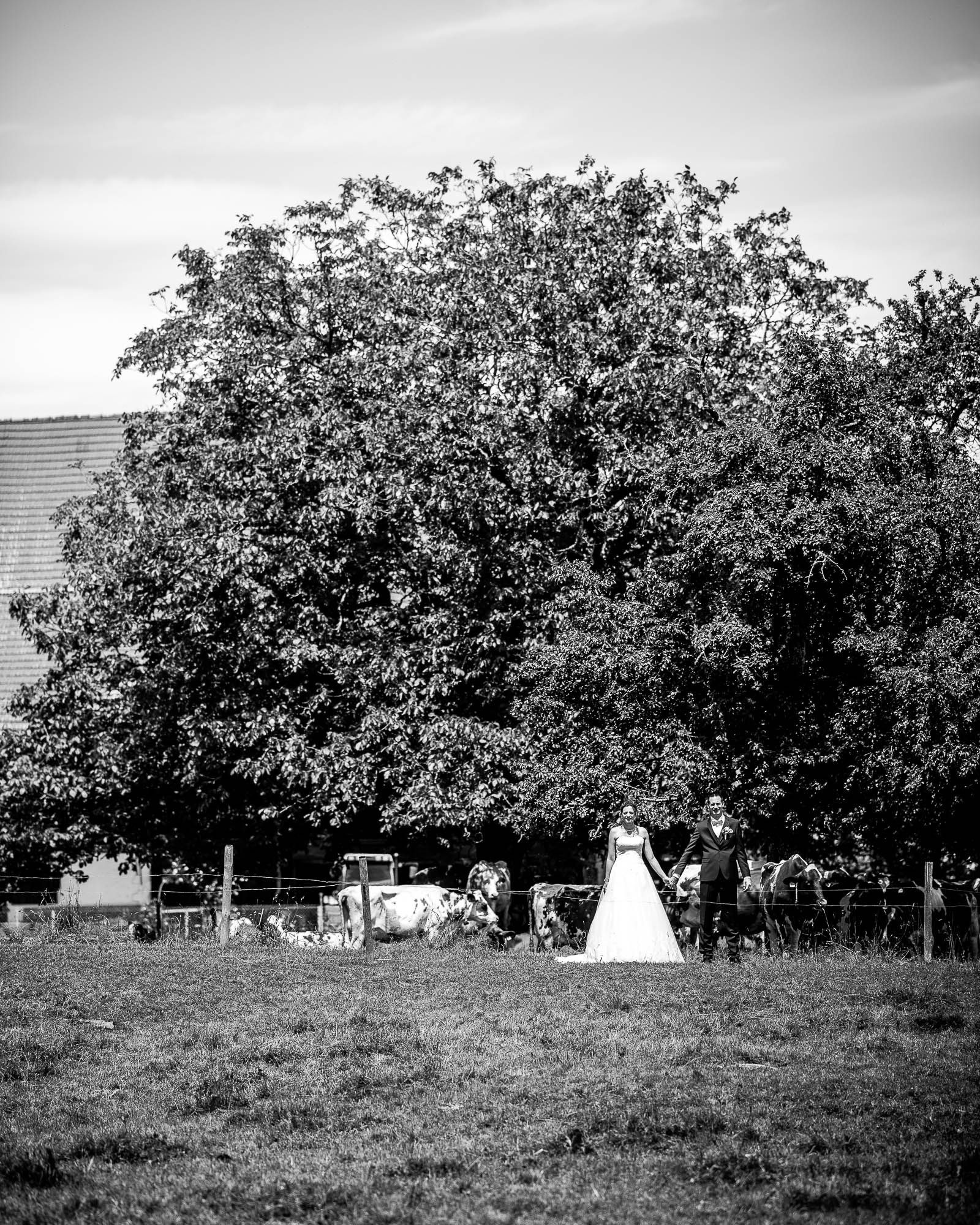 Export x3 1DX27514 Hochzeit 2020 Claudia & Marco 3